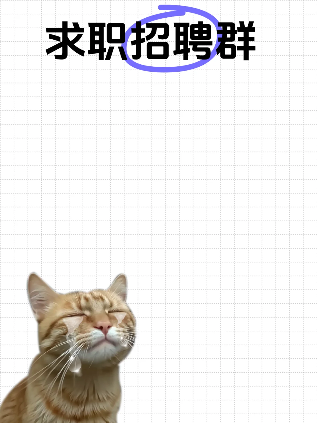 河池求职招聘群集合，本地找工作不迷路！