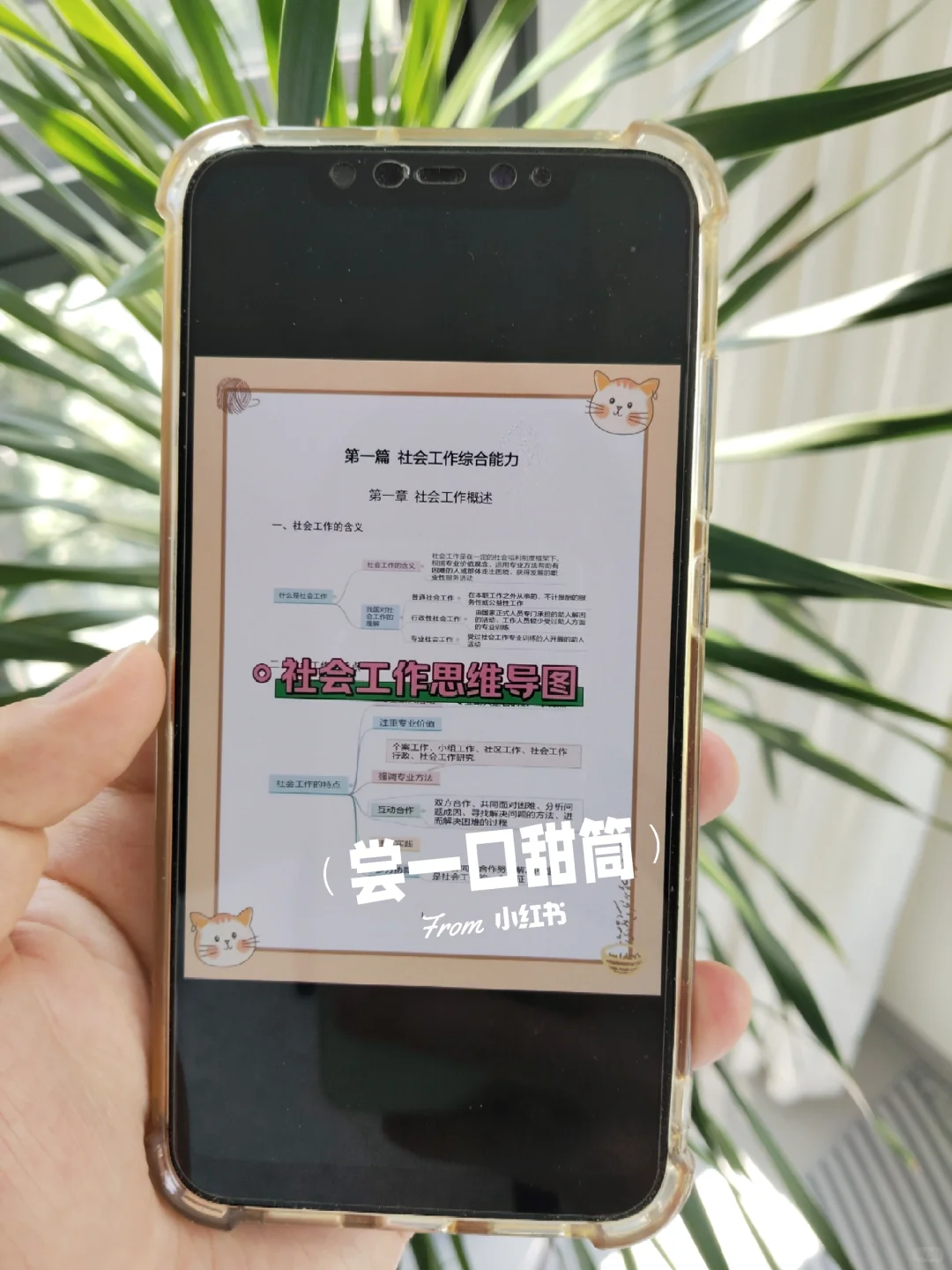 提醒一下，10.22报名泰安岱岳区社区的人