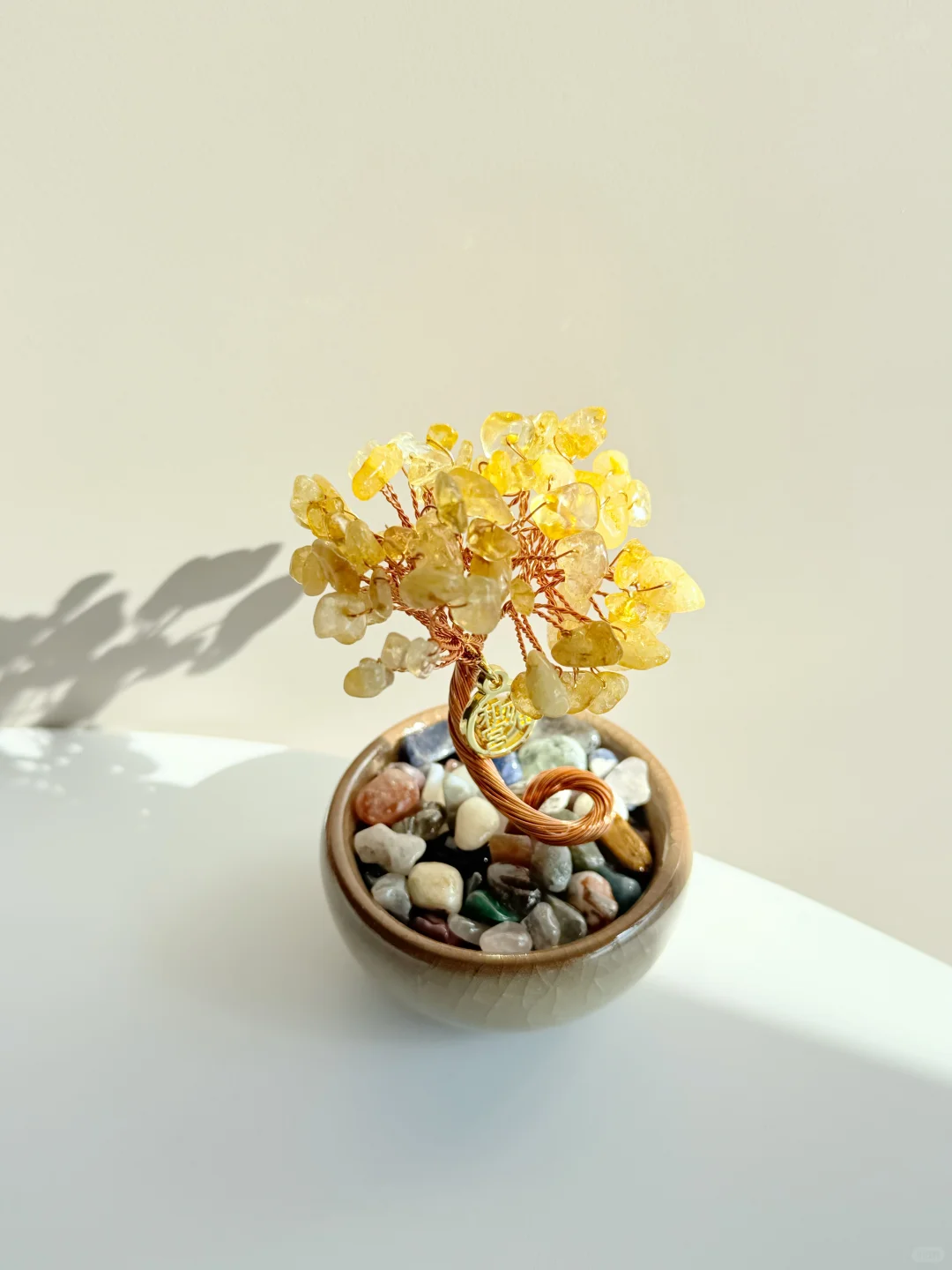 年度最佳！一眼就爱上了我的“小金树”