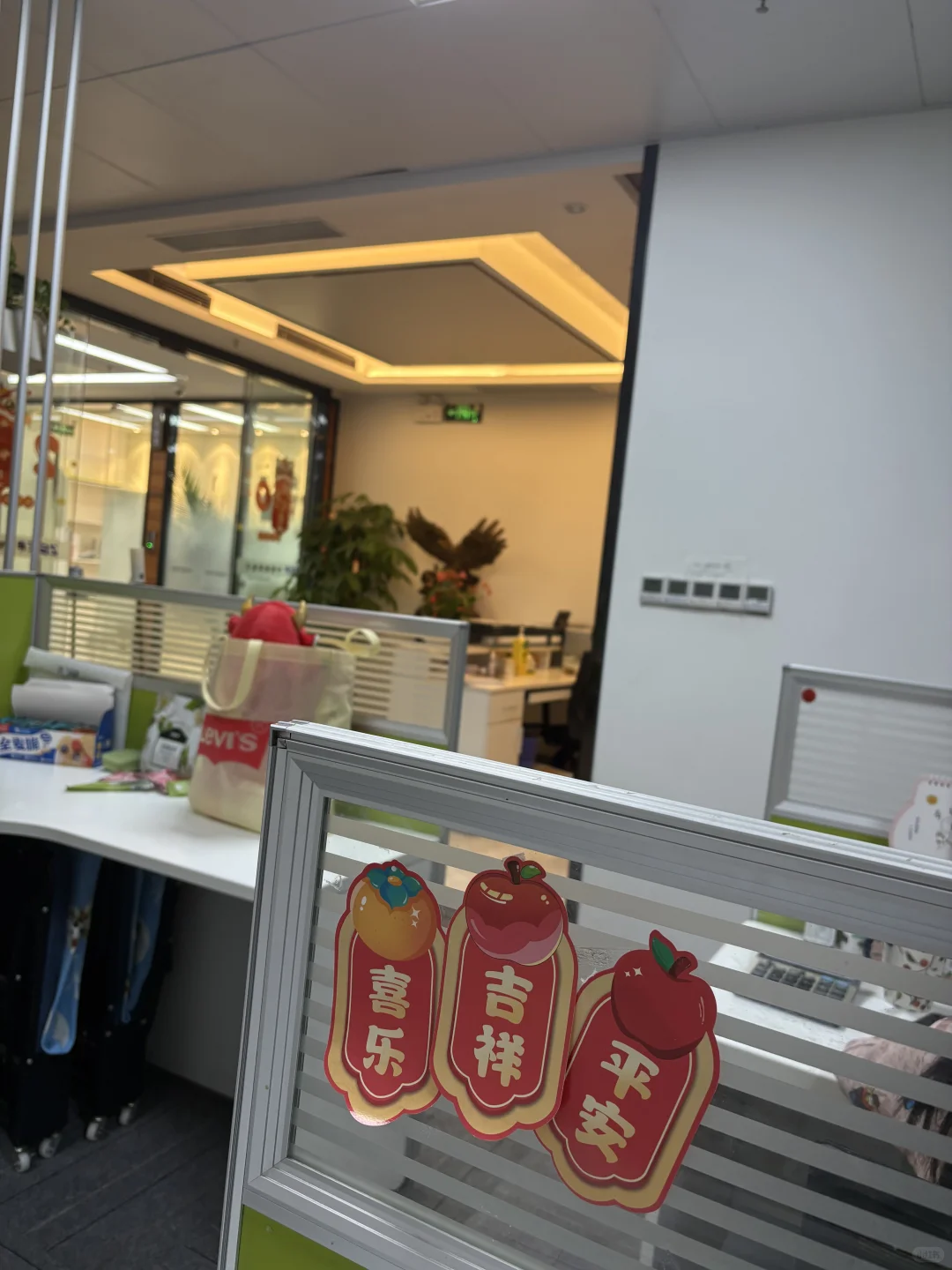 双休，南山阳光科创，助理