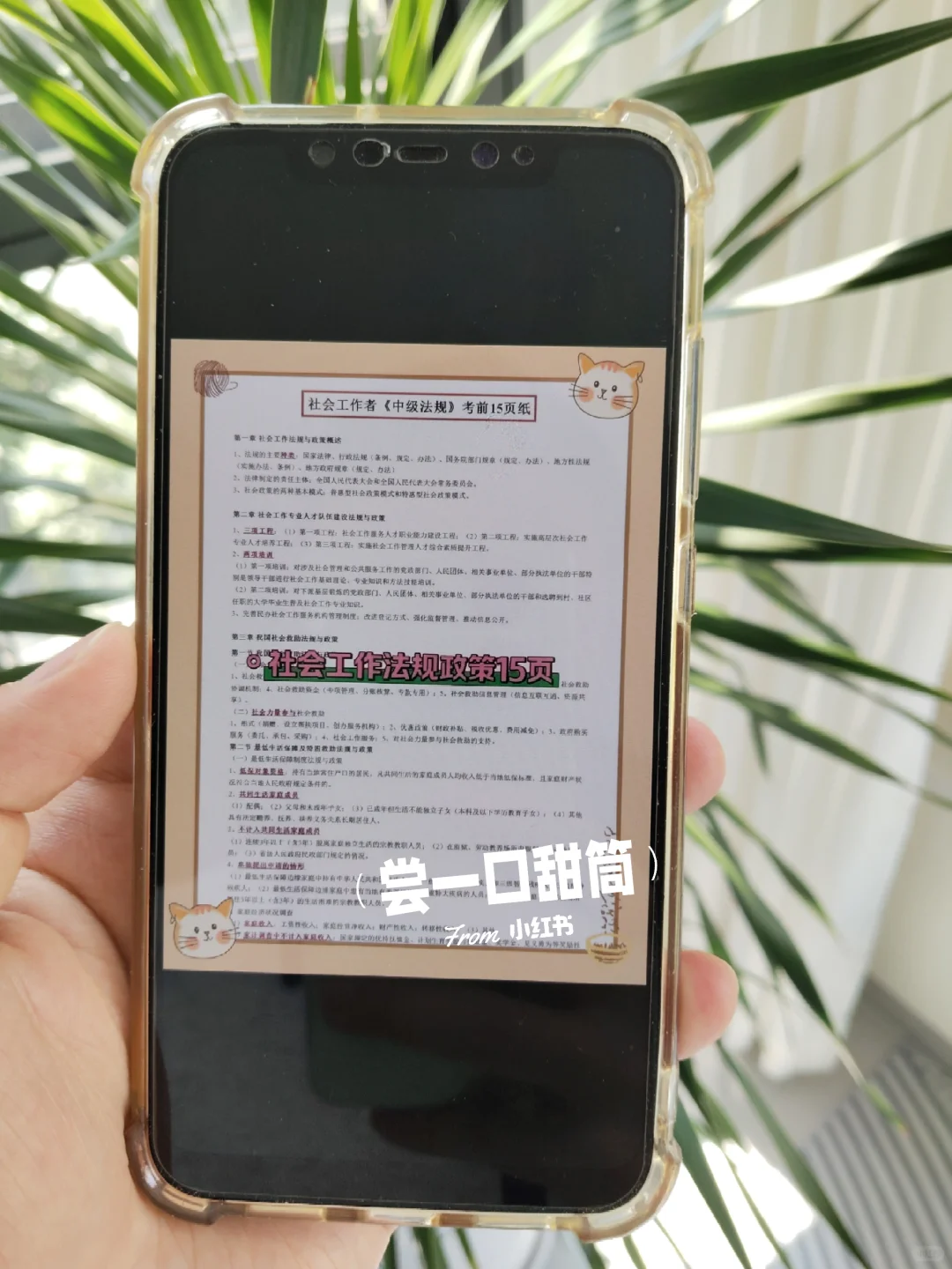 提醒一下，10.22报名泰安岱岳区社区的人