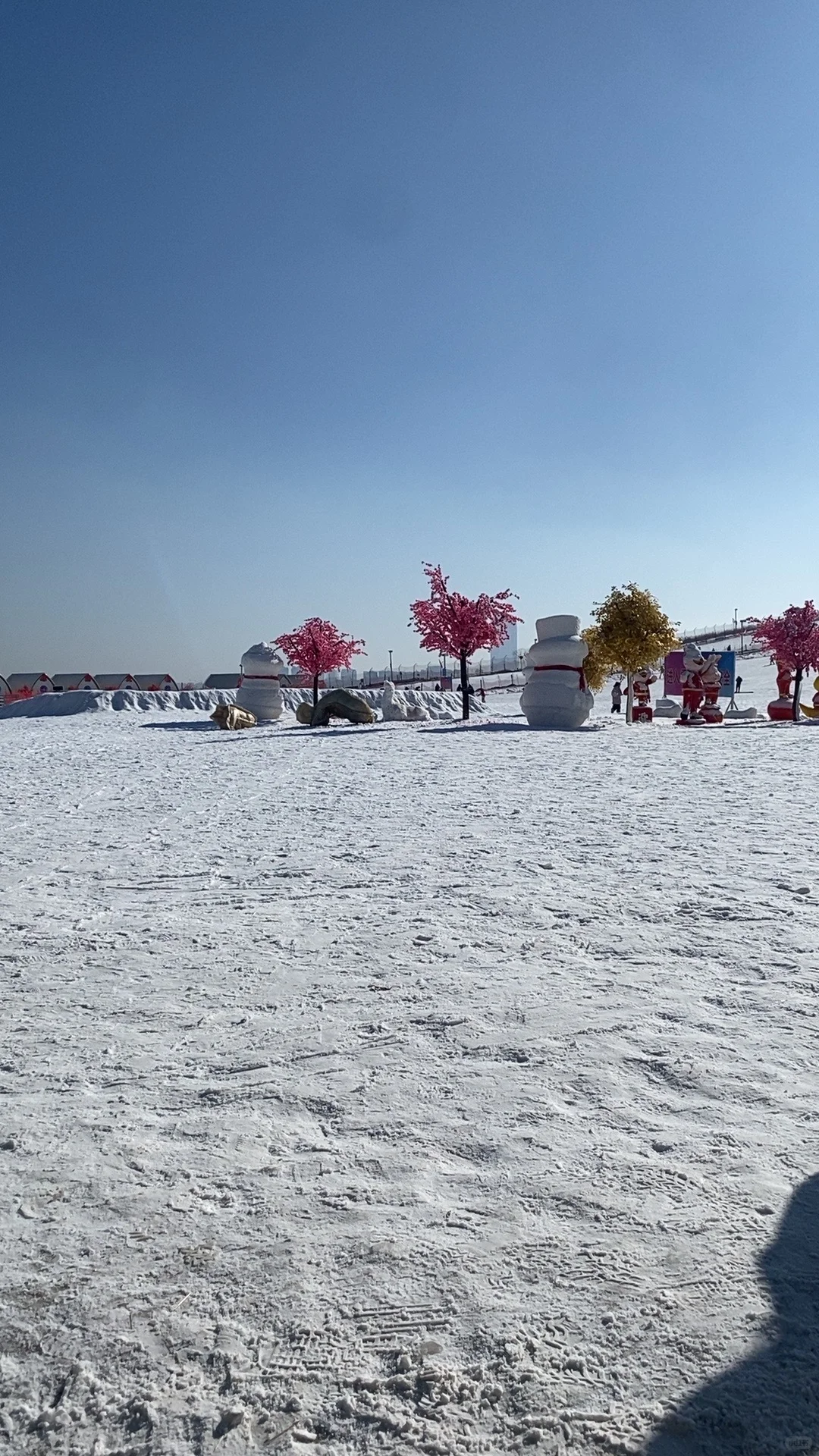招聘滑雪教练期待你的加入