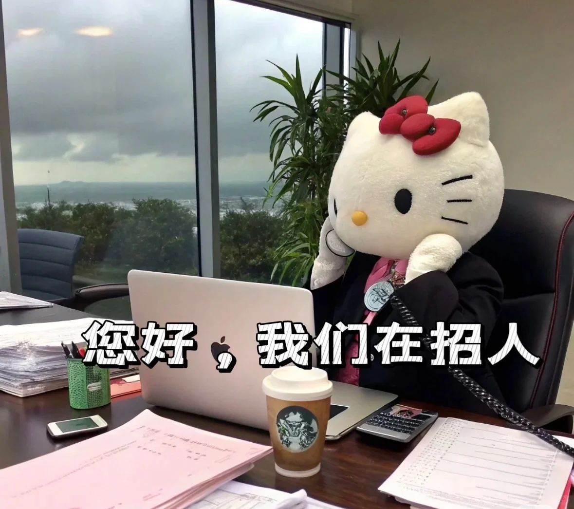 明明没工作 为什么对本KT猫的招聘视而不见