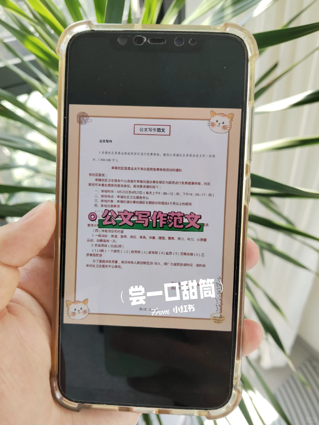 提醒一下，10.27报名河北雄安新区社区的人