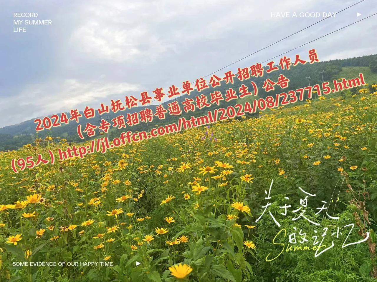 白山事业单位公告 要职位表请滴滴