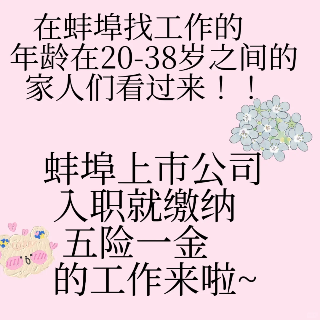 蚌埠上市公司，没有任何销售性质的工作来啦