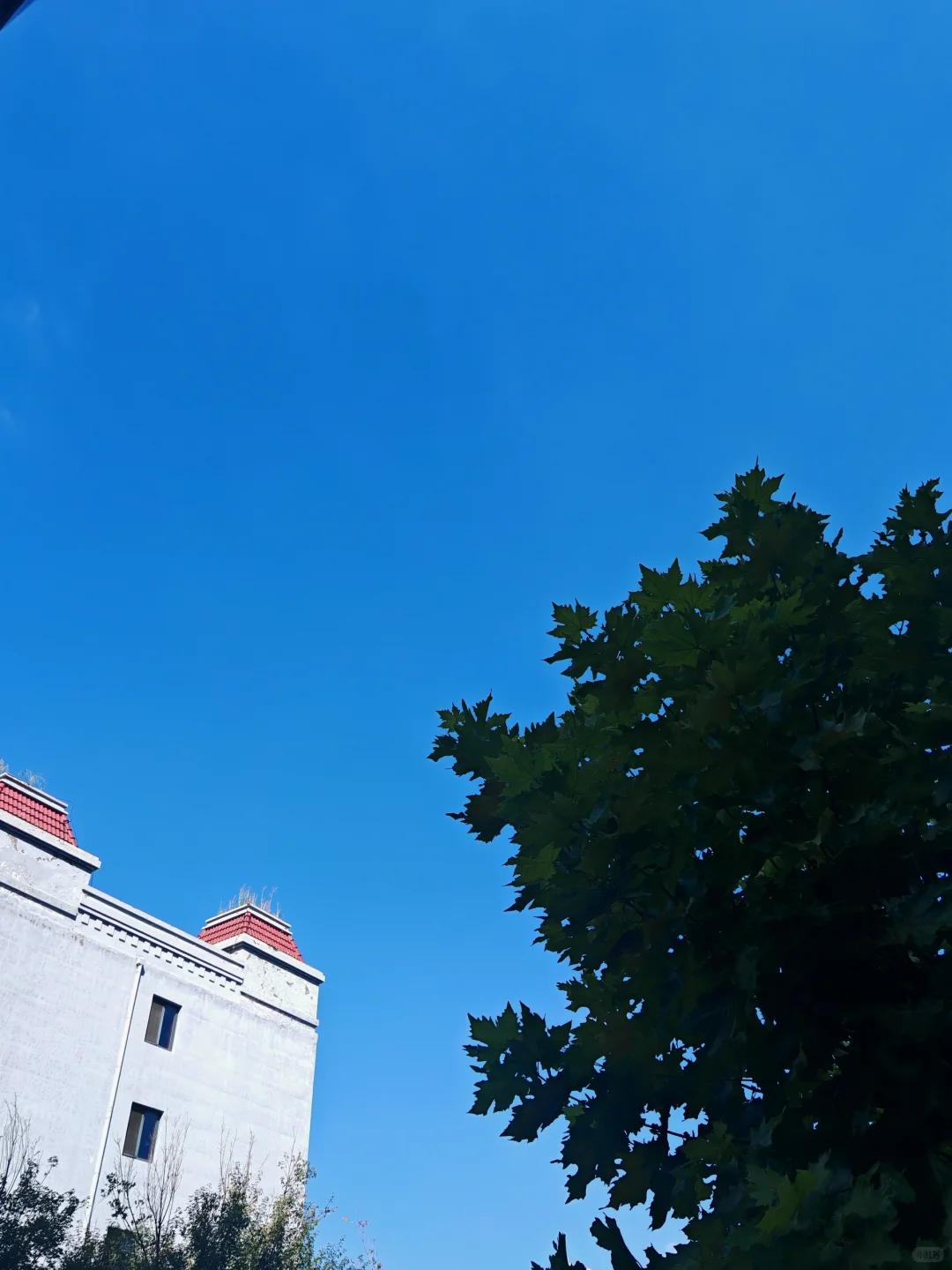 威海经区编导策划岗位招聘