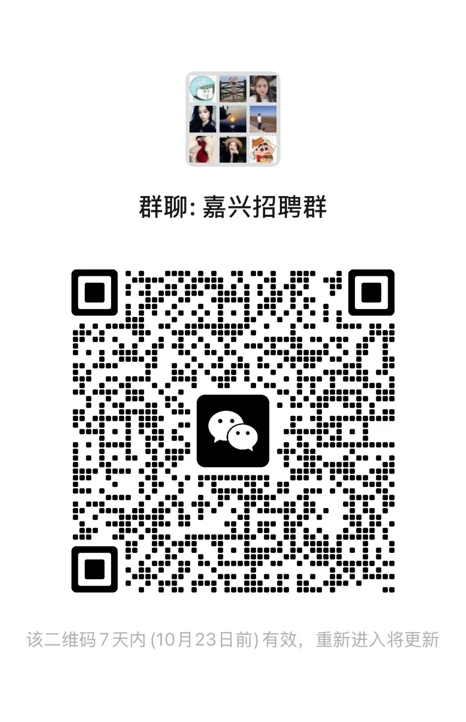 浙江嘉兴工作交流群