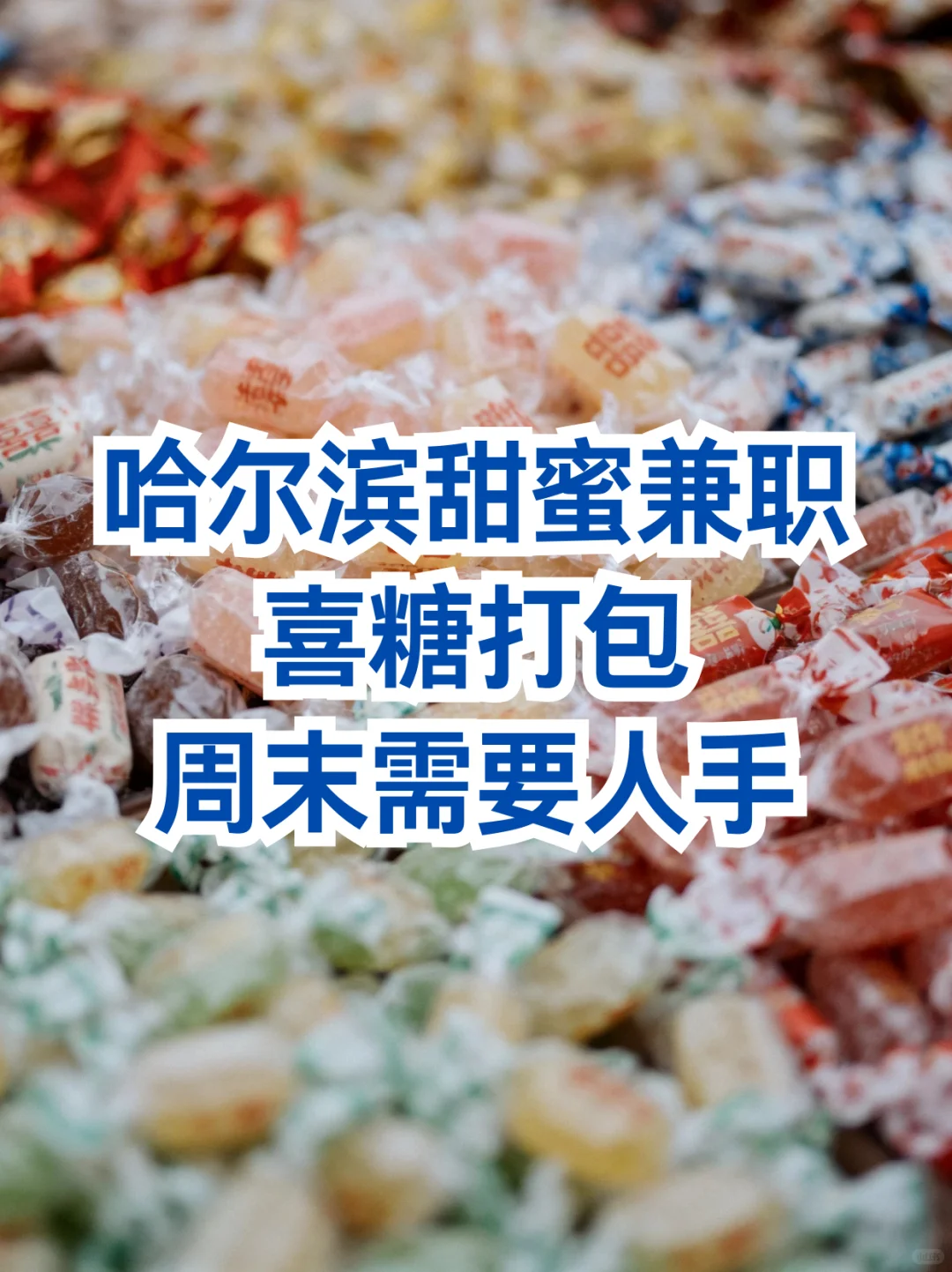 哈尔滨周末甜蜜兼职！喜糖打包🍬