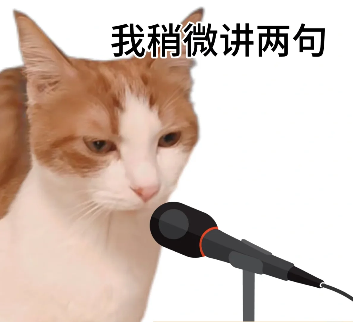 淮南交友相亲？1️⃣信息补充篇