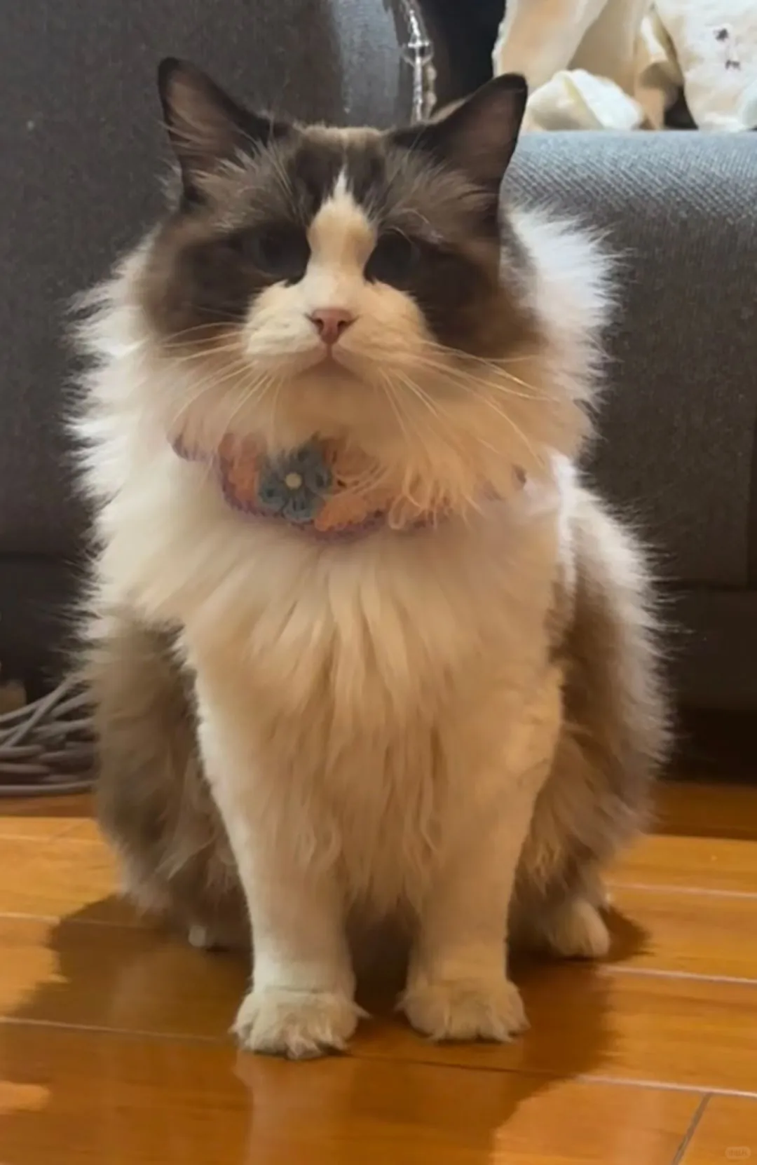 十堰市剧本杀招聘Dm