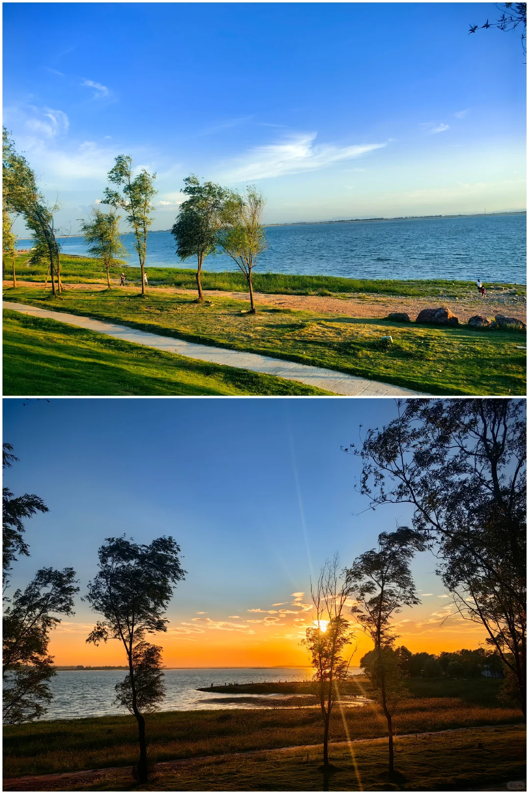 平顶山学院招聘兼职小时工，可兼职，日结