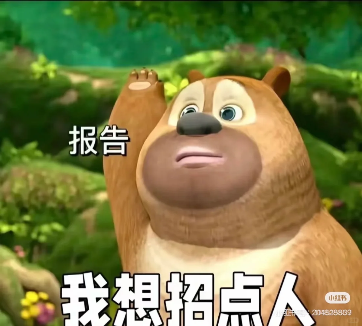 报告❗️这是一条招聘❗️