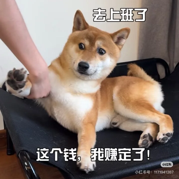 蚌埠淮上区招聘啦、淮上区找工作的看过来