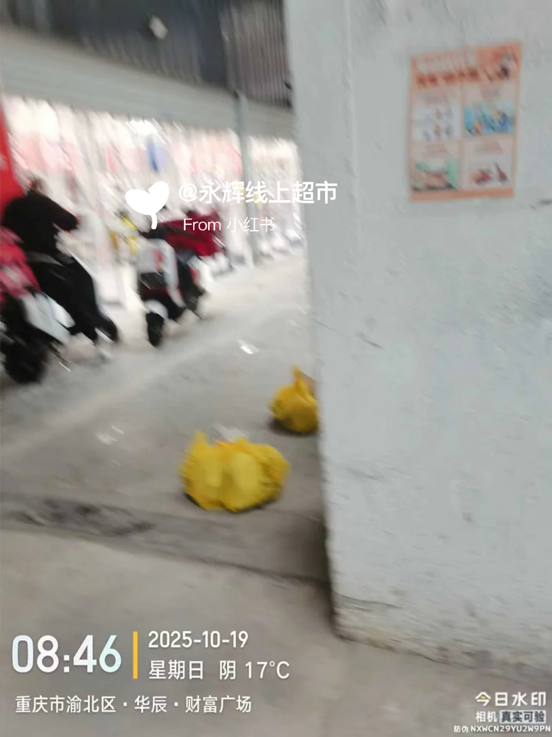 龙头寺/金观音超市新开业，工资还不错