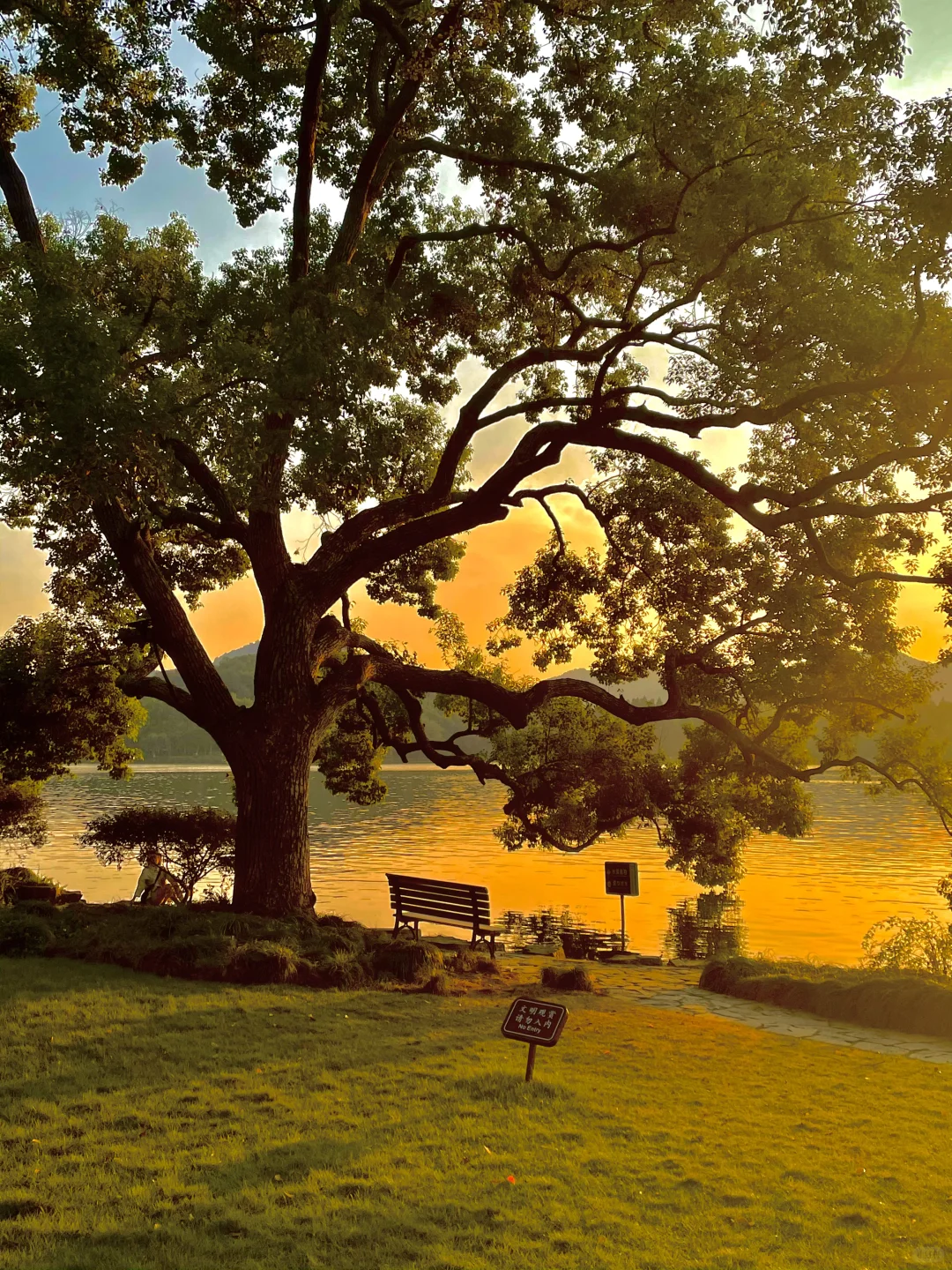 防止你失业后在杭州不知道做什么（合集