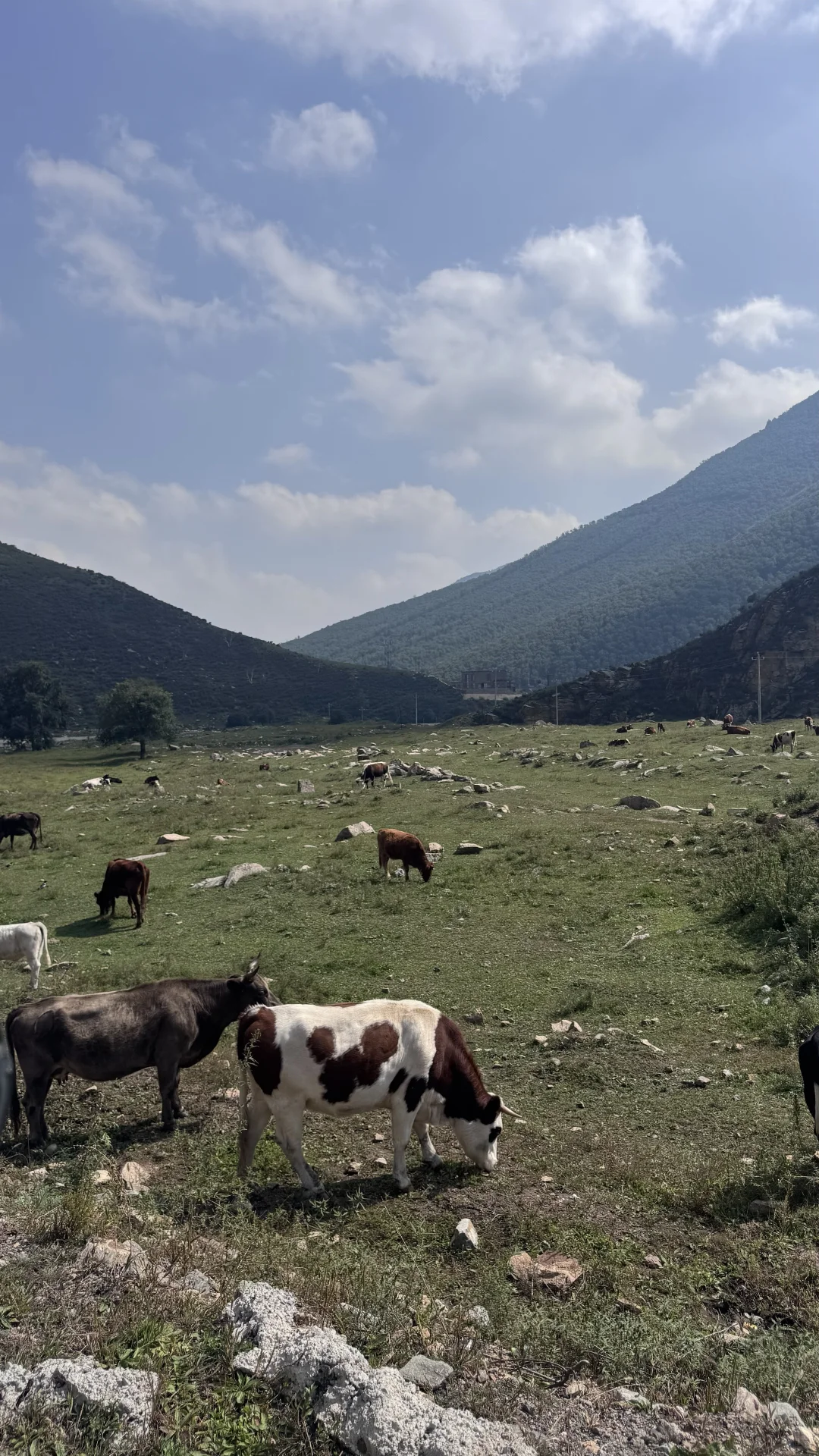 内蒙古+北京快乐九日游