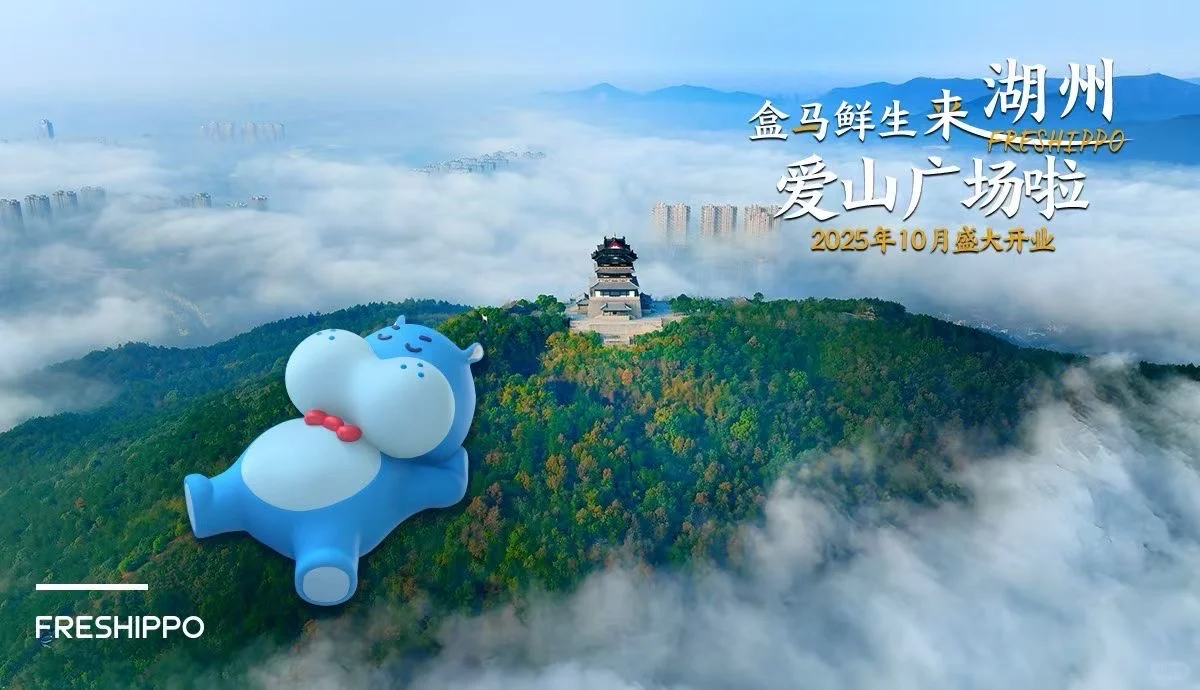 喜讯!爱山广场盒马来了