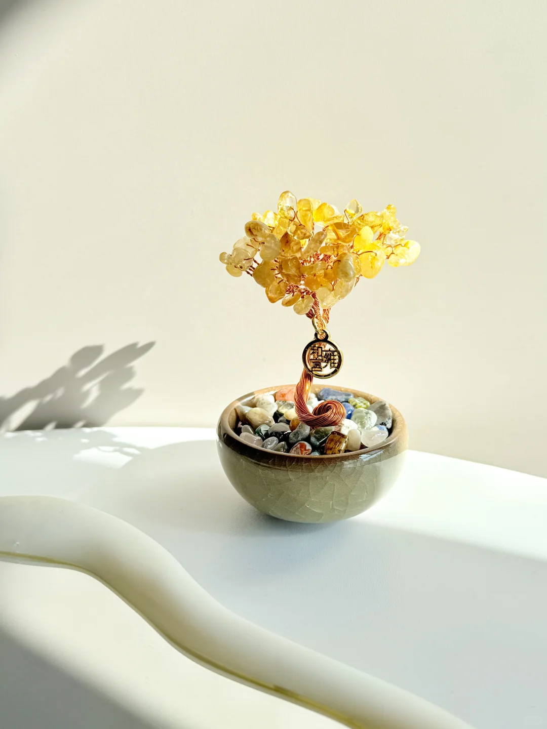 年度最佳！一眼就爱上了我的“小金树”