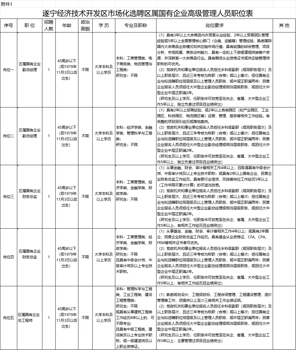 遂宁经济开发区国企招副总