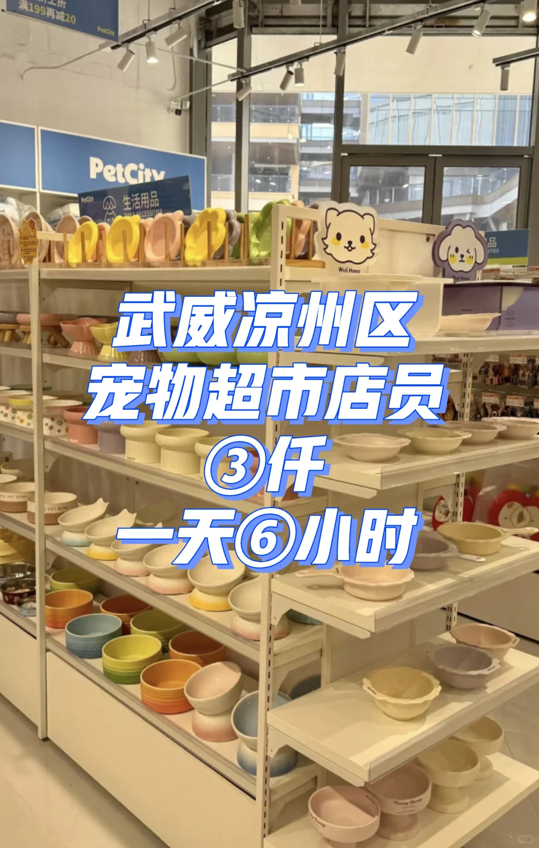 武威宠物超市店员！可可爱爱小玩意儿