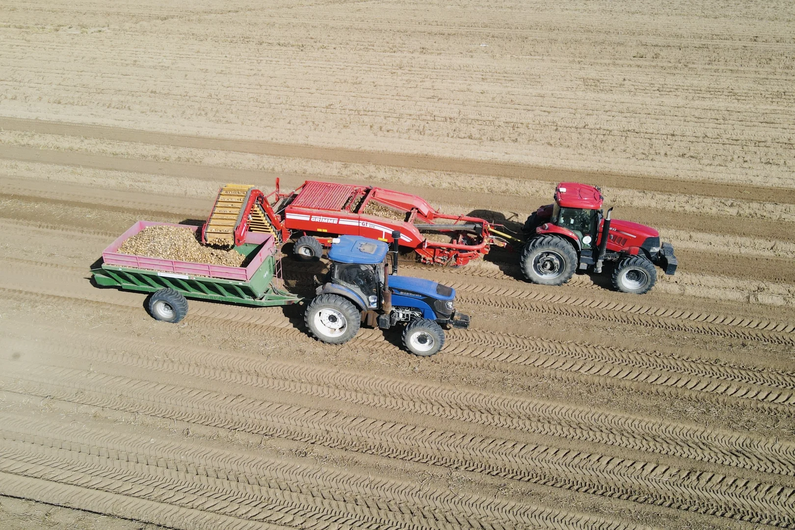 【这是一则正经招聘启事】