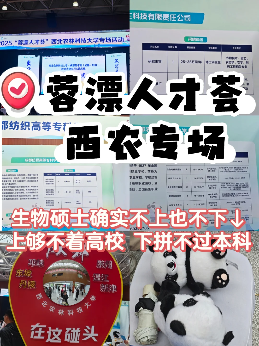 研三‖蓉漂人才荟西农专场-🤕