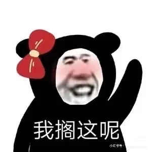 桥西区，早9晚6