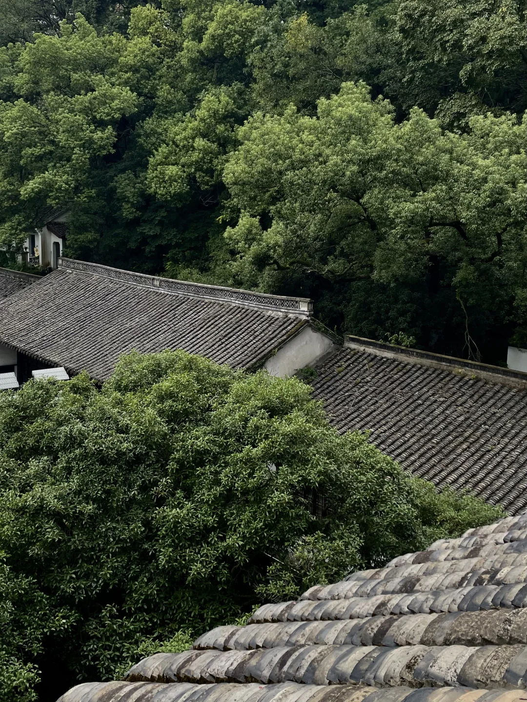 防止你失业后在杭州不知道做什么（合集