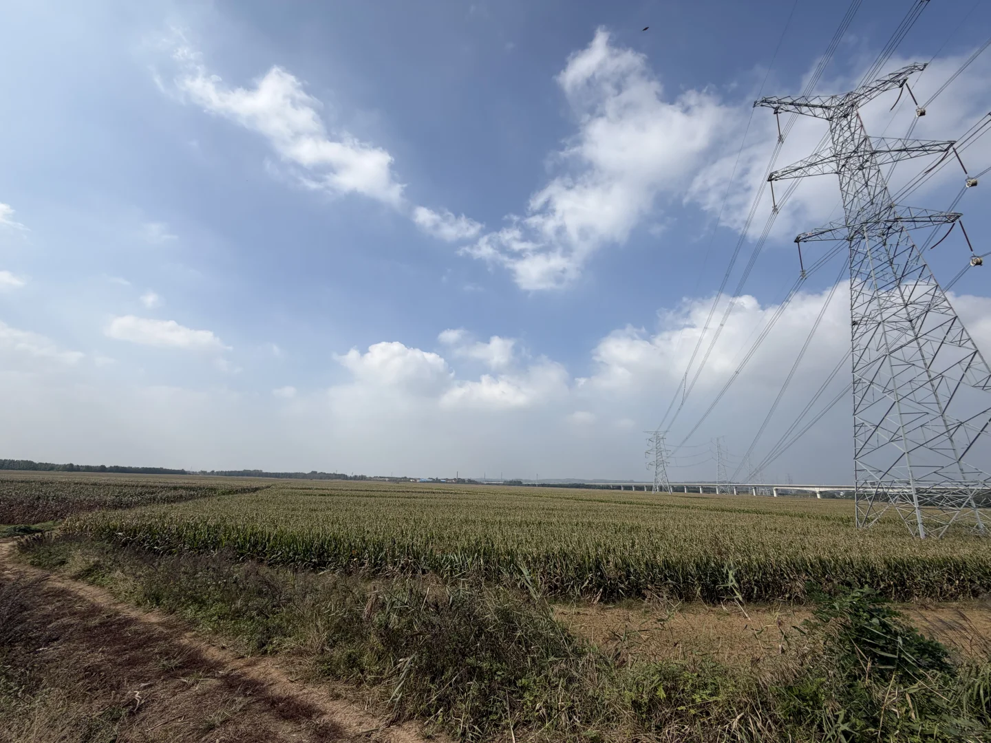 农业项目招募操作人员