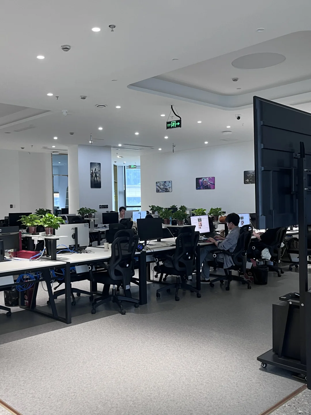 泸州的宝子你真的可以选择任何行业