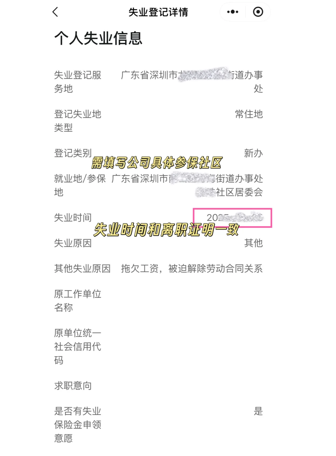 深圳“失业登记”超全攻略来了✅