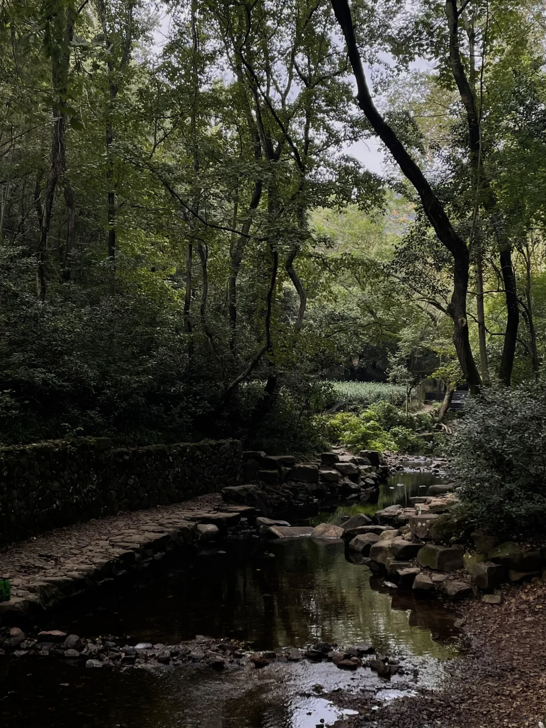 防止你失业后在杭州不知道做什么（合集