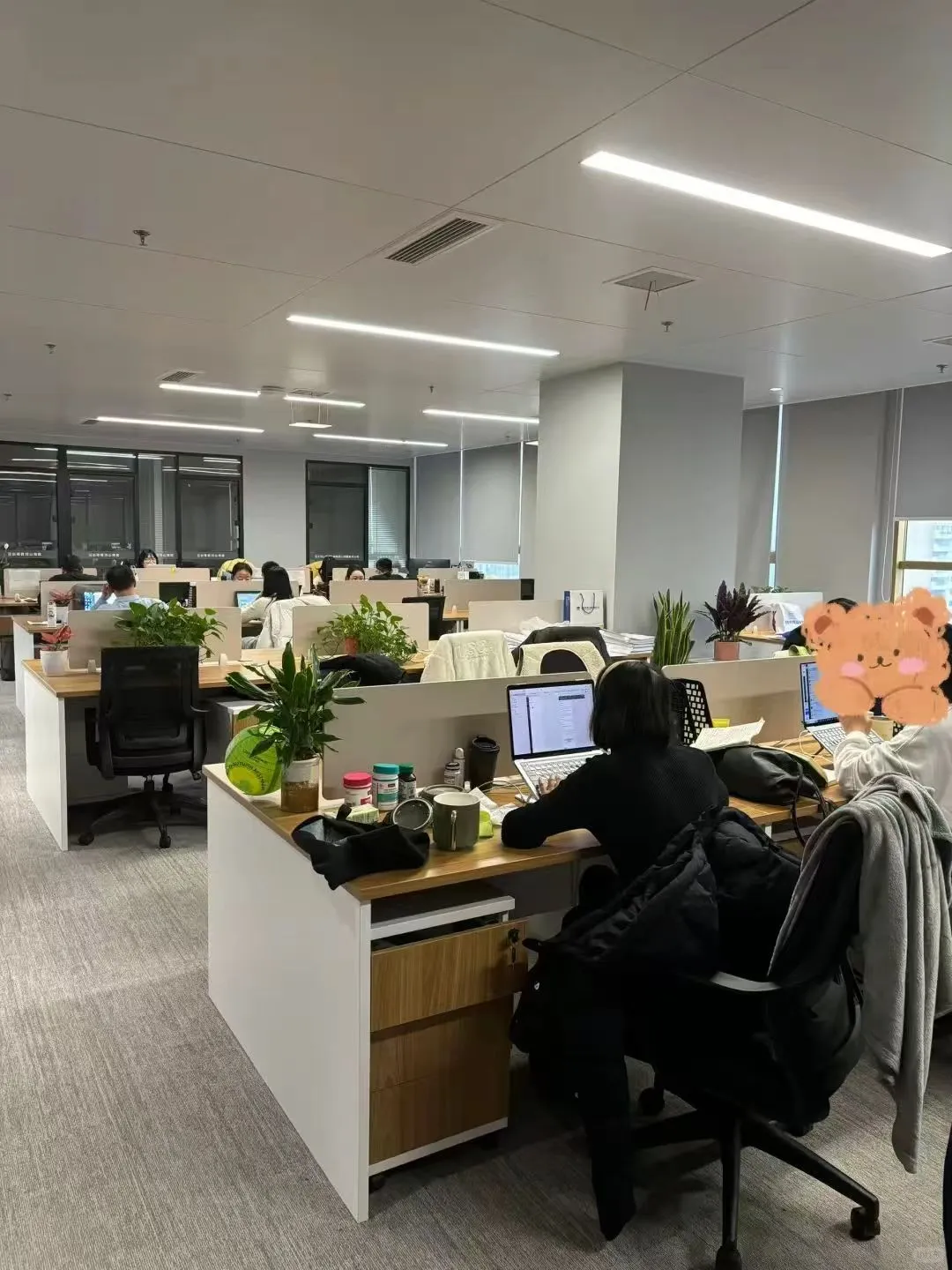 过来人提醒：西安的国企不要在国聘上找