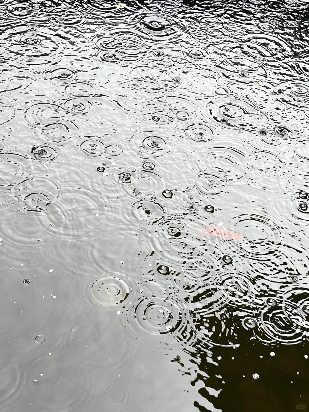 招人 有经验的民宿管家