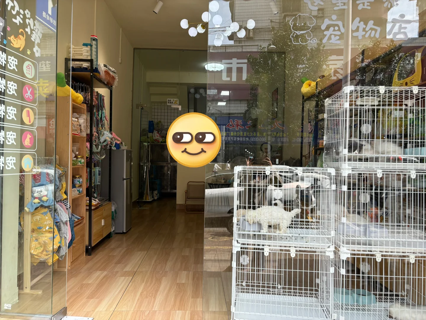 邵阳市宠物店招人了！