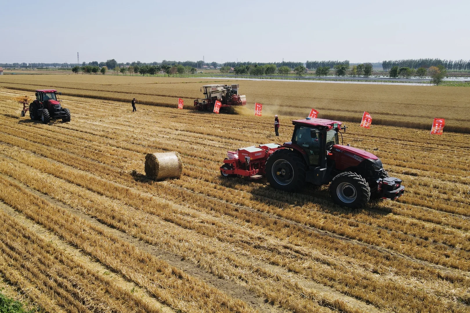 【这是一则正经招聘启事】