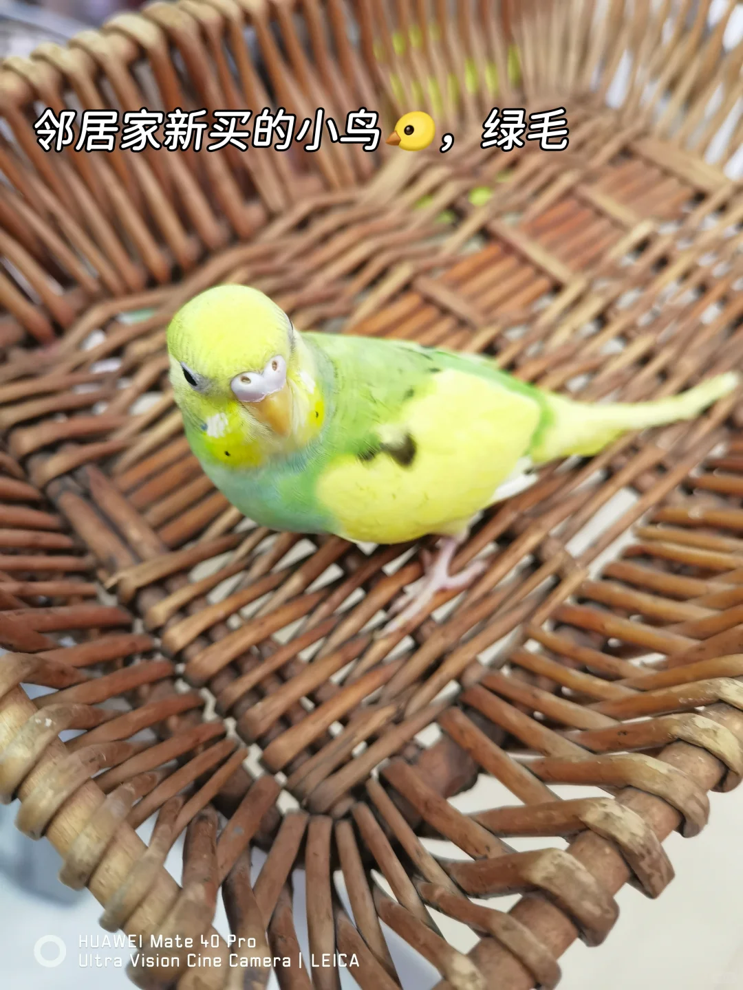 88年月薪4500存钱日常，家庭版火锅很nice