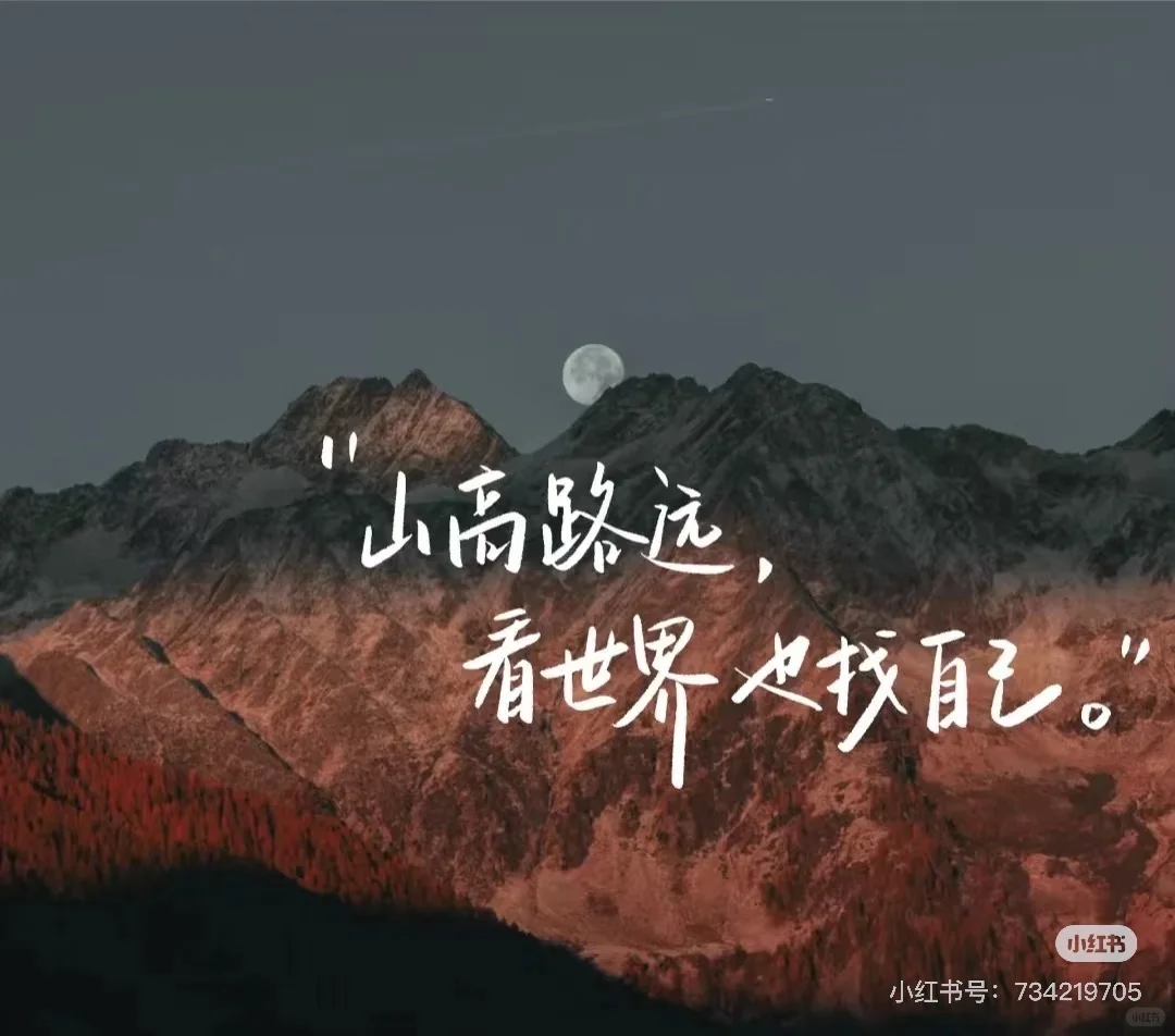 招聘教师，塘沽和河西