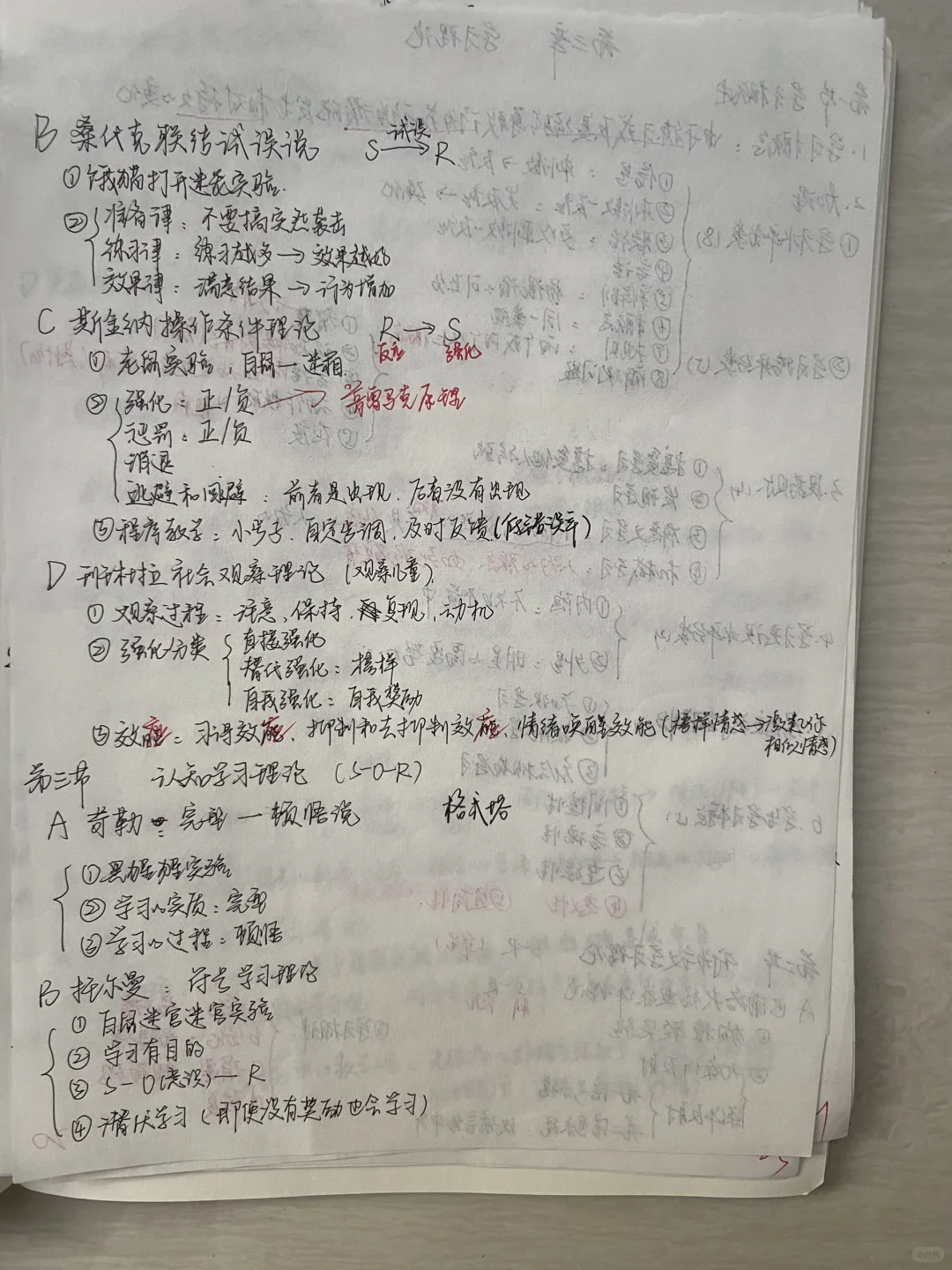 黄埔区笔试第一☝️经验帖！