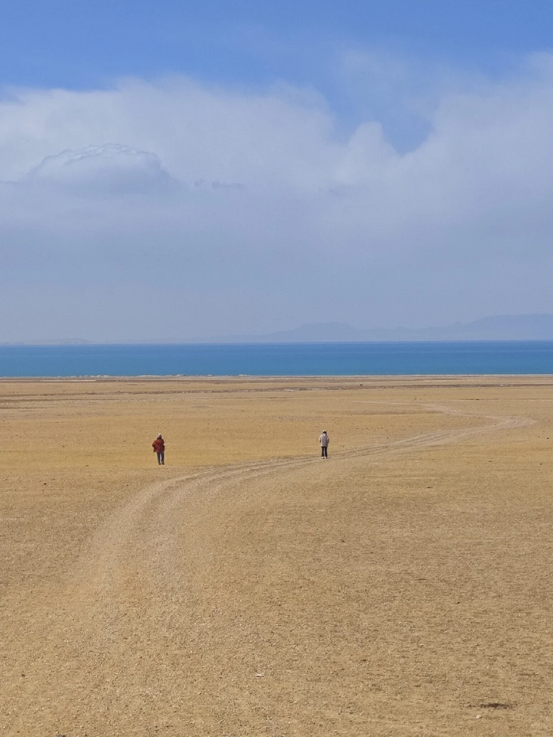 为什么求职软件上发消息是已读不回的