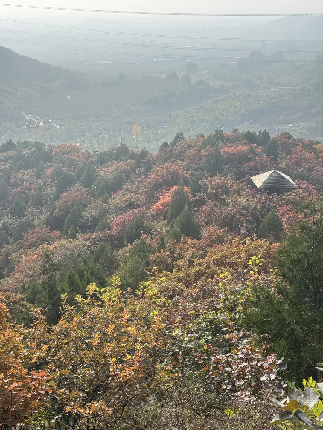 入职泡泡玛特实习有多幸福