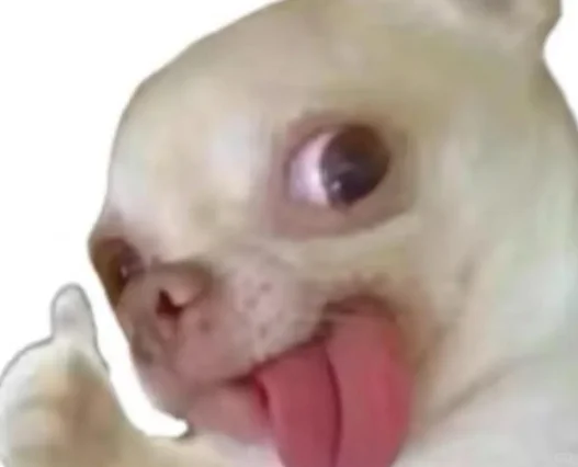 纯i人美美翻盘河南事业编面试后的真心话！