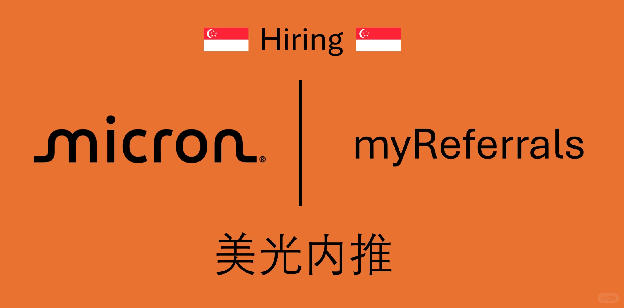 更新 Micron Referrals 🇸🇬