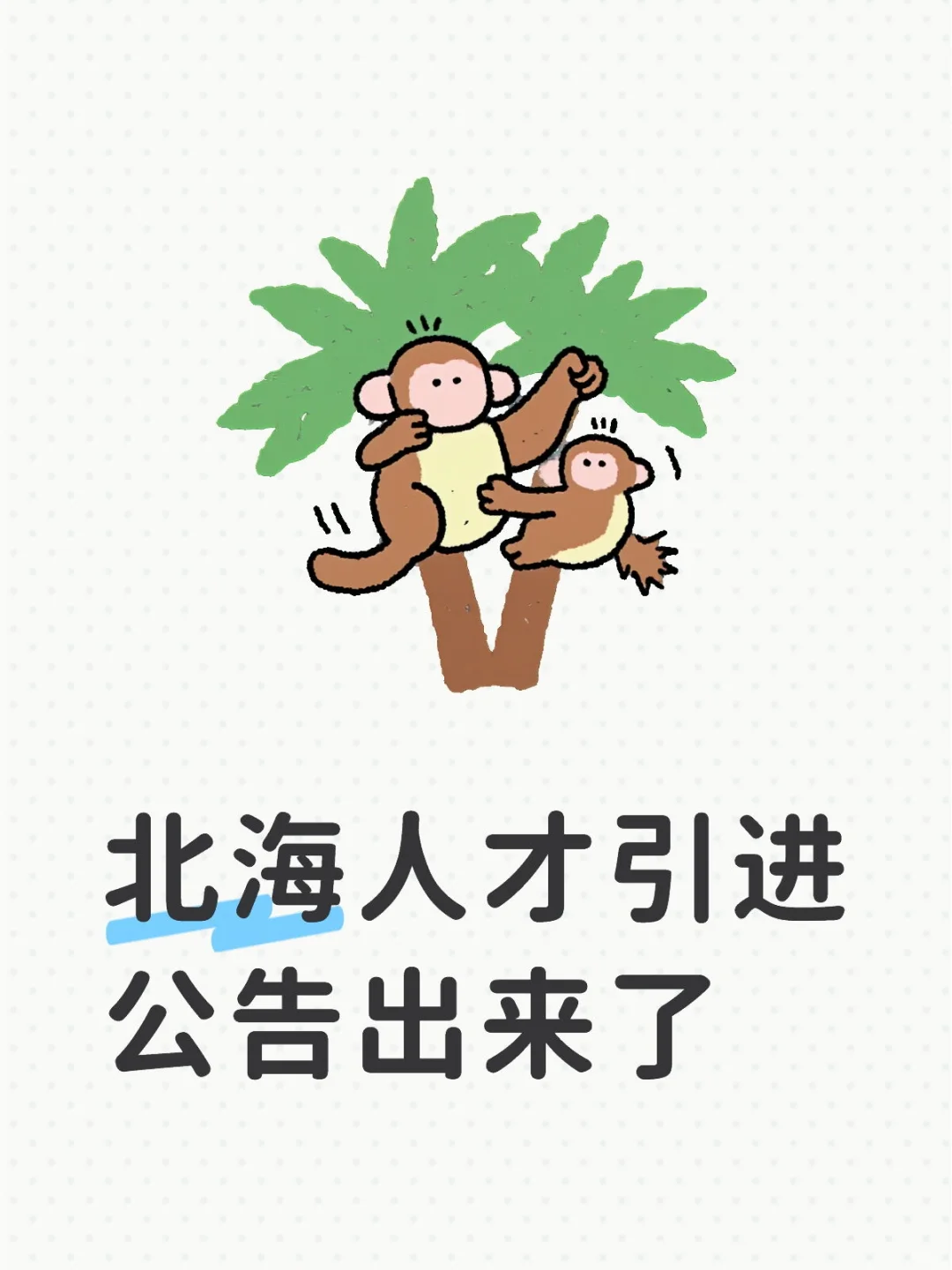 北海人才引进公告出来了