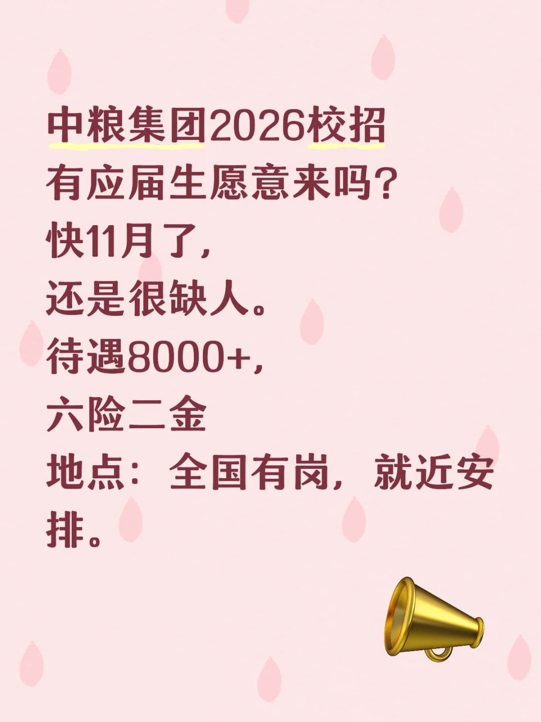 急招 ，中粮集团26招