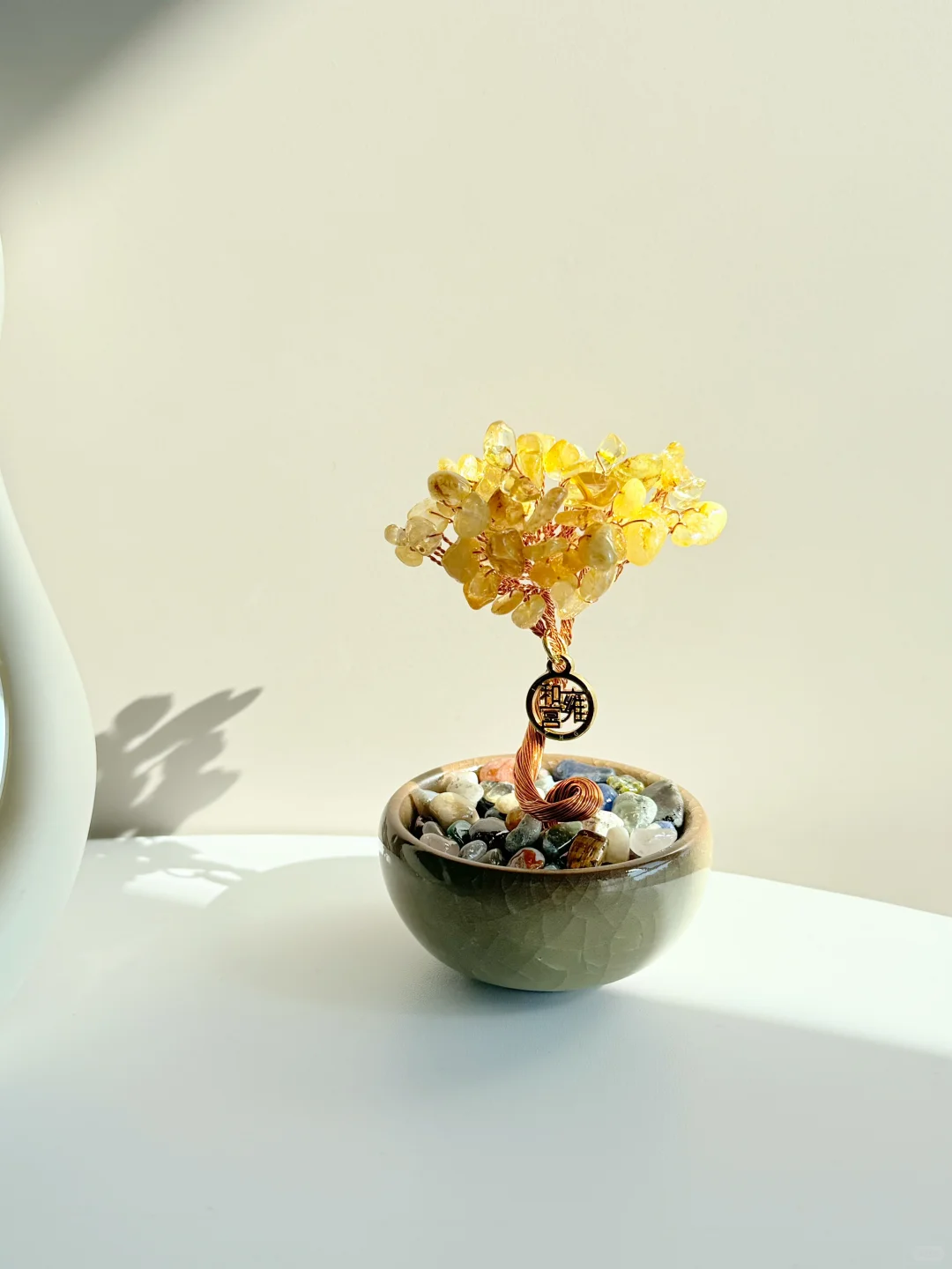 年度最佳！一眼就爱上了我的“小金树”