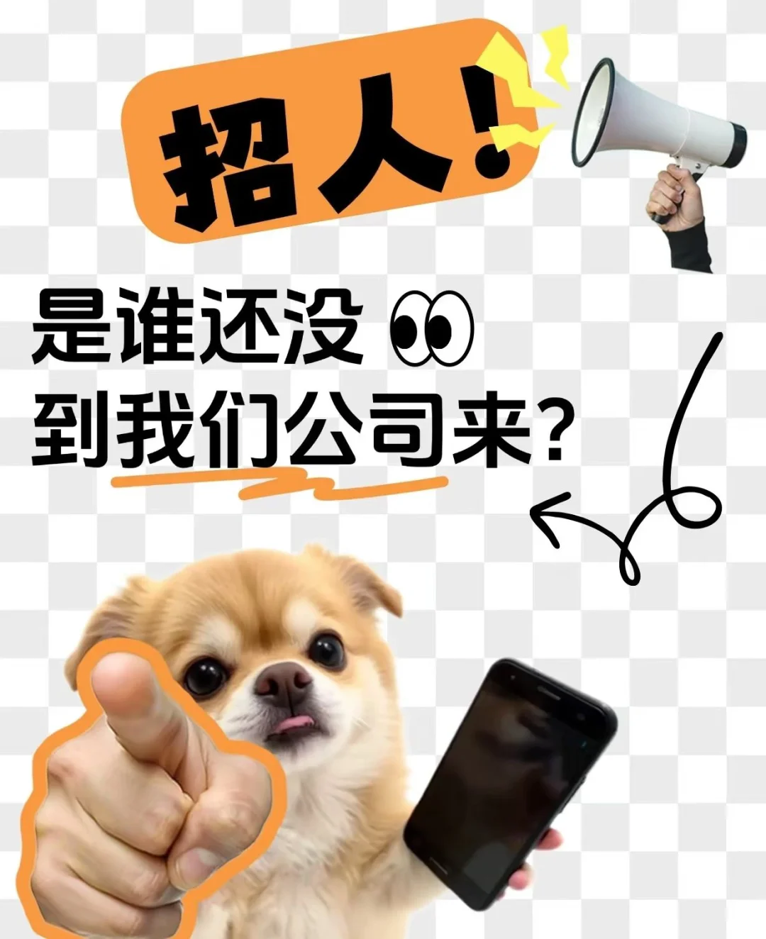 中山双休就近安排的人事岗位，你真的不来吗