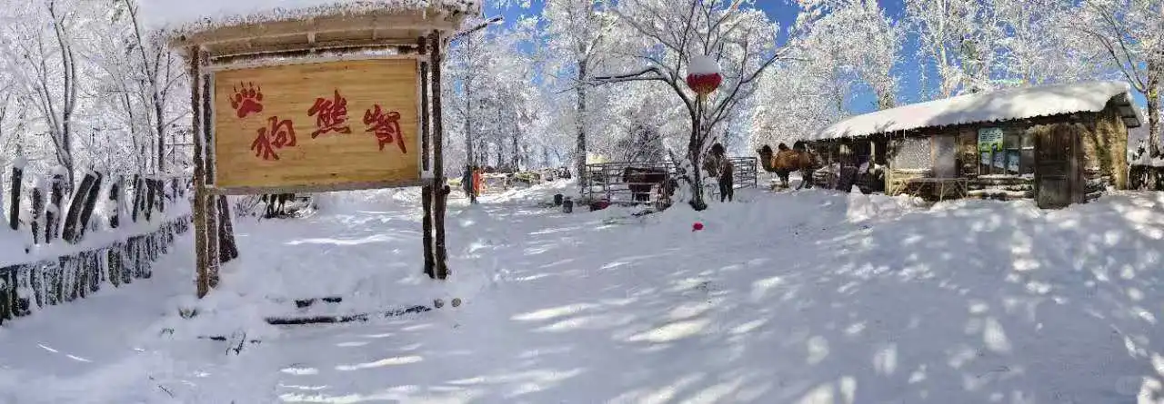 雪乡旁的童话义工招募！