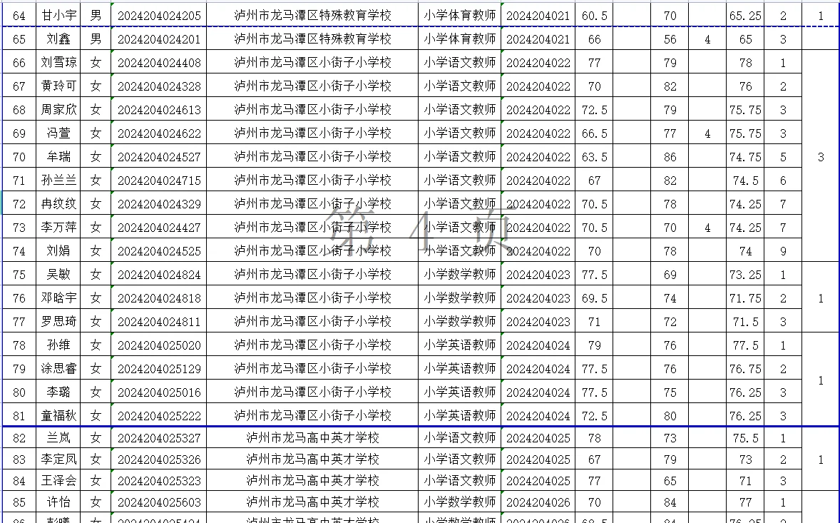 24下泸州龙马潭区教招进面分！